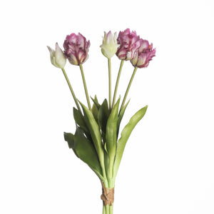 Parrot tulpen 5 - Paars