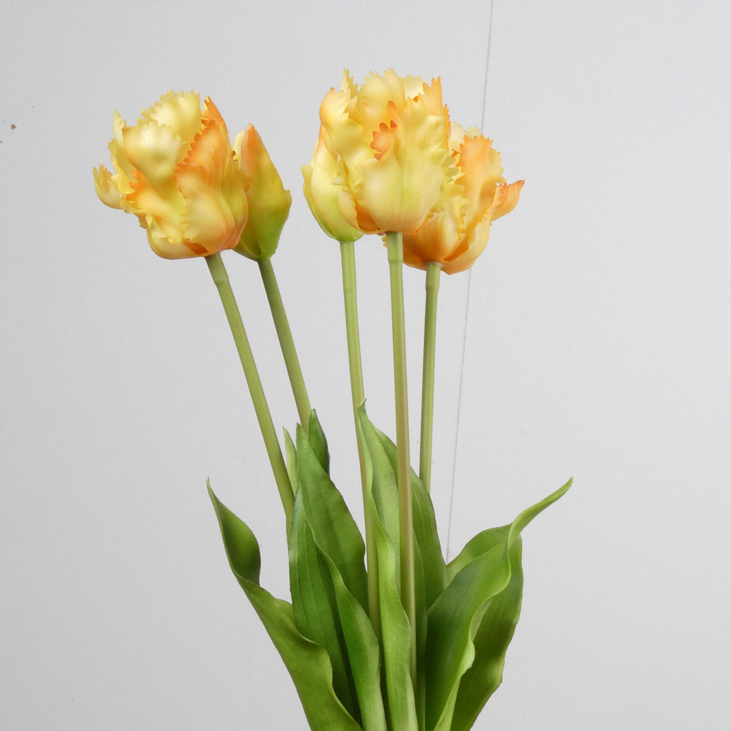 Parrot tulpen 5 - Geel