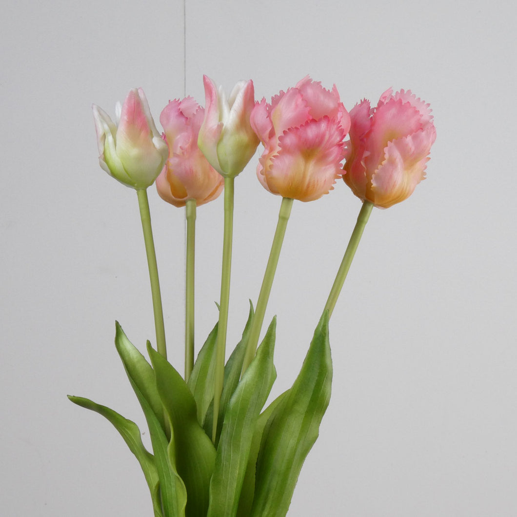 Parrot tulpen 5 - Roze